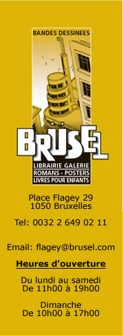 logo brüsel_flagey